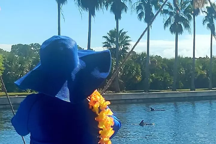 Cocoa Beach 2 Hour Dolphin Sightseeing tour- public