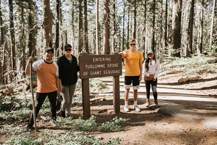 Yosemite National Park and Giant Sequoias Tour from San Jose