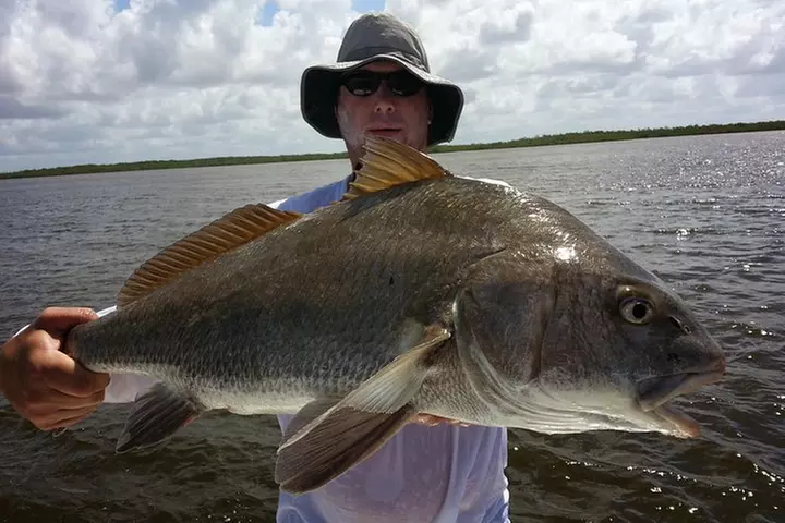 1/2 Day Morning Charter Fishing Naples Marco Everglades Sanibel