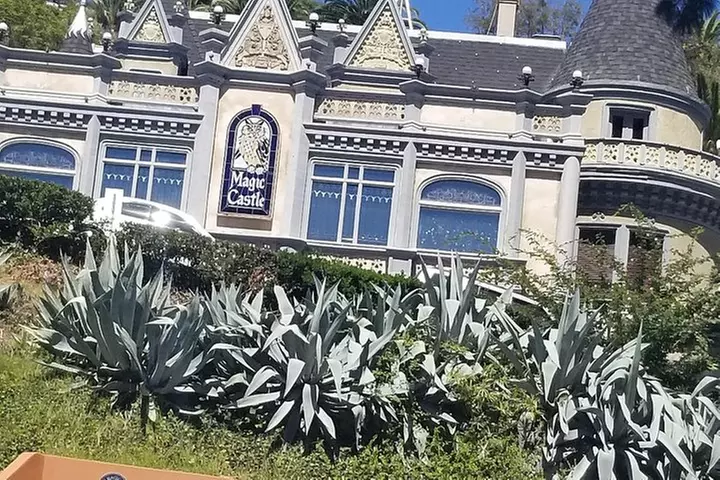 Hollywood and Beverly Hills Half-Day Tour with Exclusive Stops