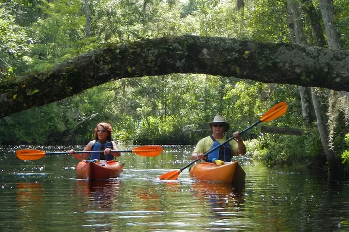 Lofton Creek Kayaking Trip with Professional Guide