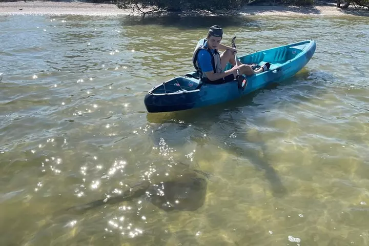 Wildlife Refuge Manatee, Dolphin & Mangrove Kayak or Paddleboarding...