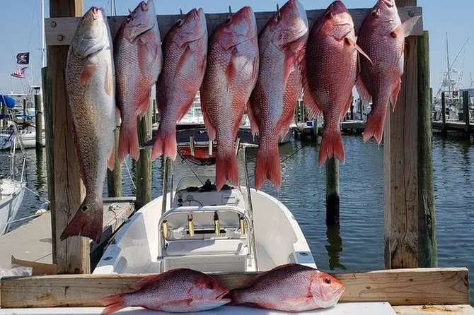 Half Day Fishing Charter - Primary Image