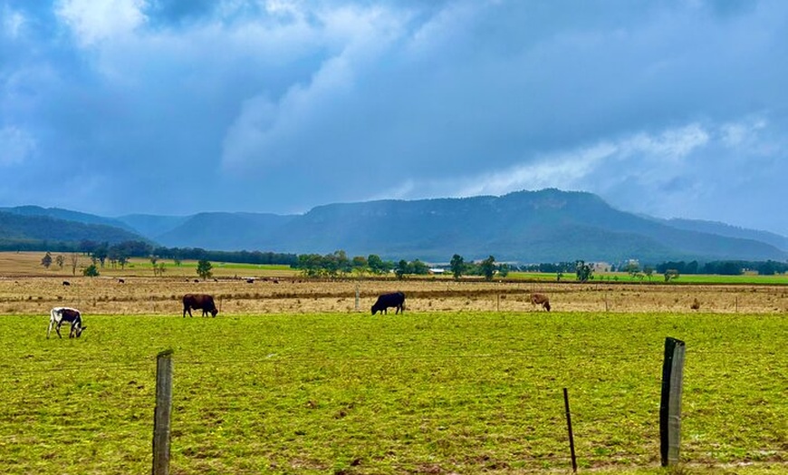 Image 3: Hunter Valley Escape A Day of Wine Art and Aussie Countryside