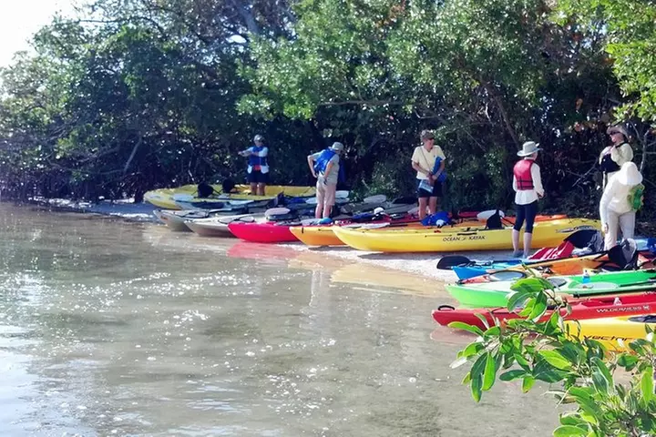 Sarasota Guided Mangrove Tunnel Kayak Tour