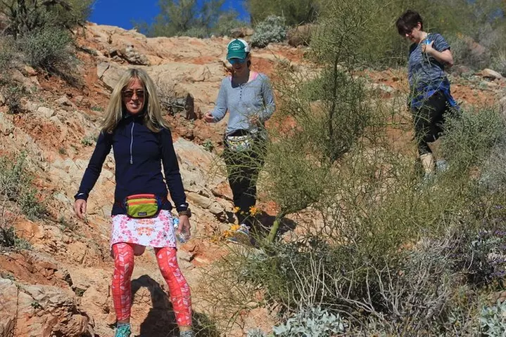 Amazing 2-Hour Guided Hiking Adventure in Phoenix, Arizona
