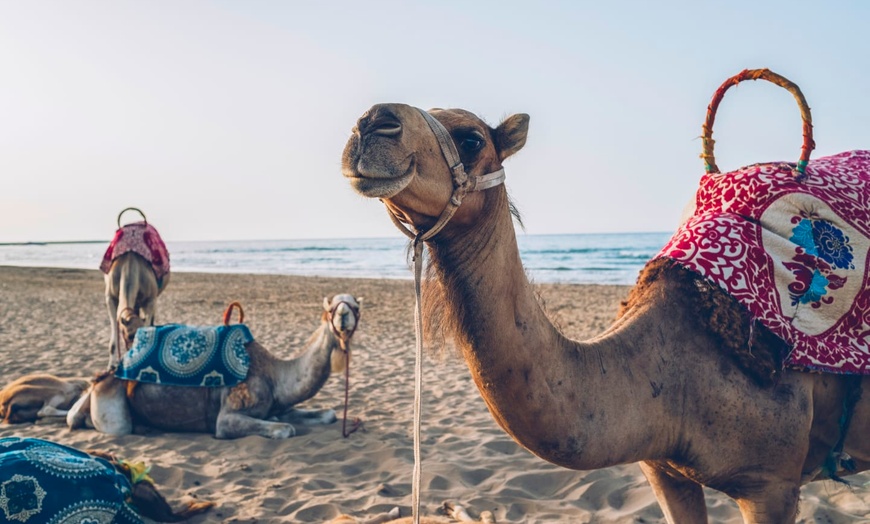 Image 24: ✈ MAROC | Saidia - Iberostar Waves Saidia 5* - Tout inclus