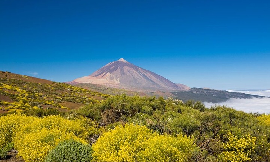 Image 5: Viajes en el tiempo entre los volcanes Trevejo y Chinyero en Tenerife