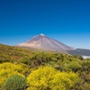 Image 5: Viajes en el tiempo entre los volcanes Trevejo y Chinyero en Tenerife