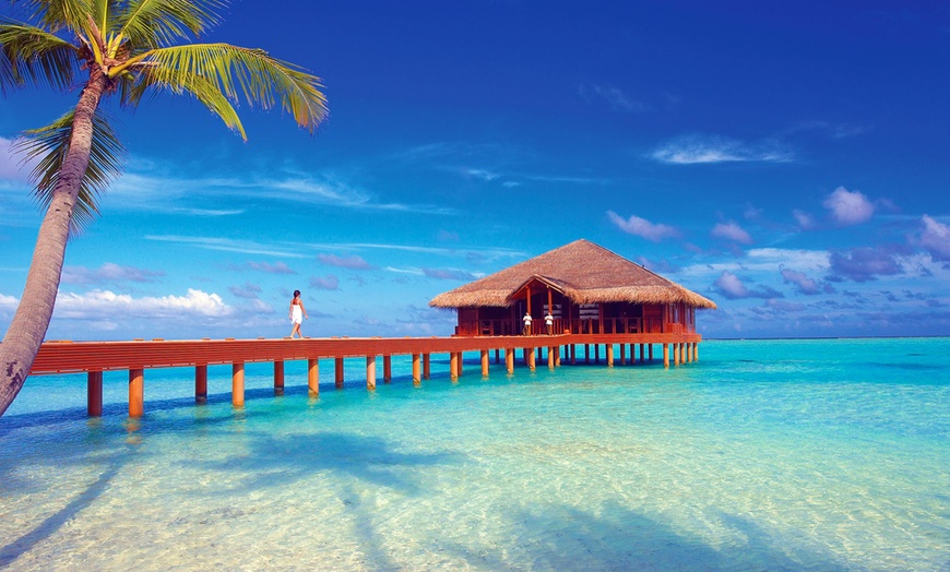 Image 15: ✈ MALDIVES | Meemu Atoll - Medhufushi Island Resort 4* - Spa