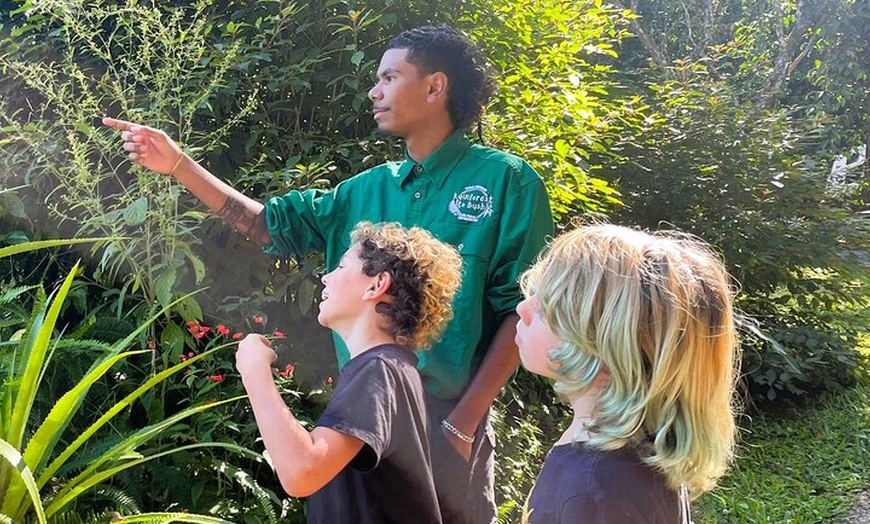 Image 4: Cairns: Aboriginal Cultural Tour Atherton Tablelands