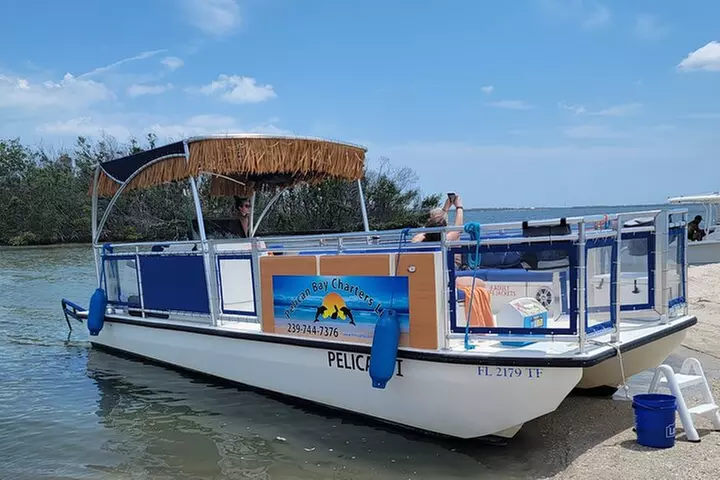 Sunset Dolphin Cruise with Sanibel Lighthouse Views