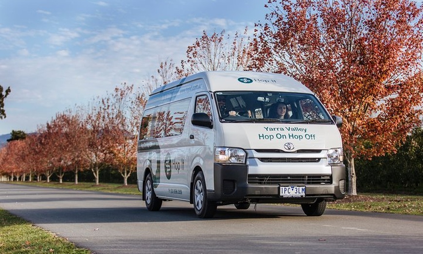 Image 7: From Melbourne: Hop On Hop Off Mornington Peninsula