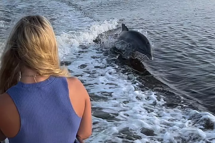 Best of Marco Island Tour