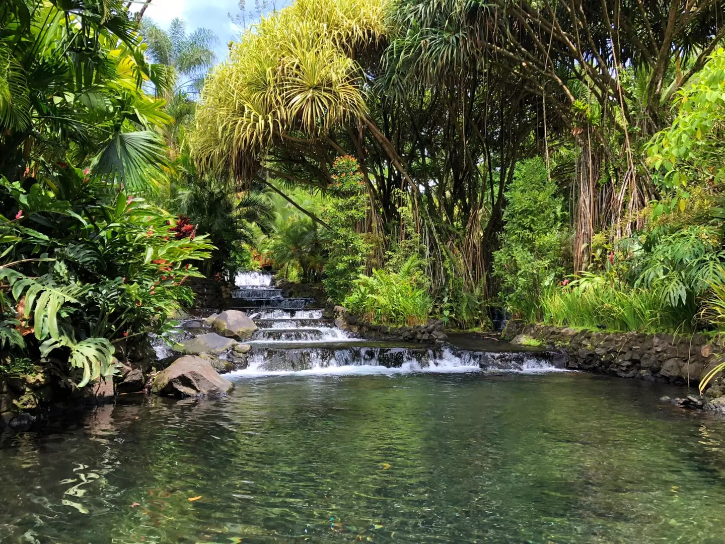 ✈ COSTA RICA | San José - L'essenziale della Costa Rica con estensi...