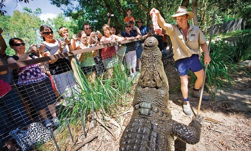 Image 6: Hartley's Crocodile Adventure Half-Day Tour