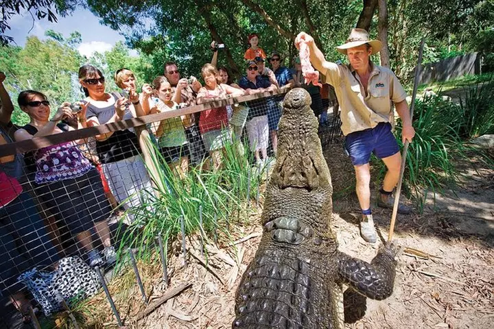 Hartley's Crocodile Adventures Half-Day Tour from Cairns