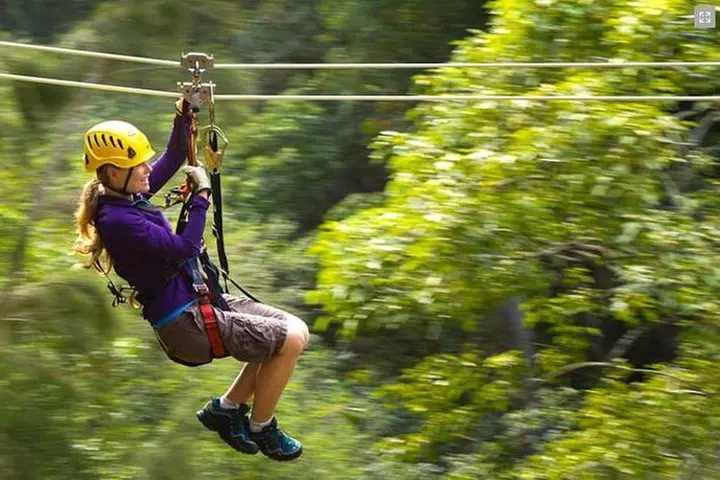 Big Island Kohala Canopy Zipline Adventure - Primary Image
