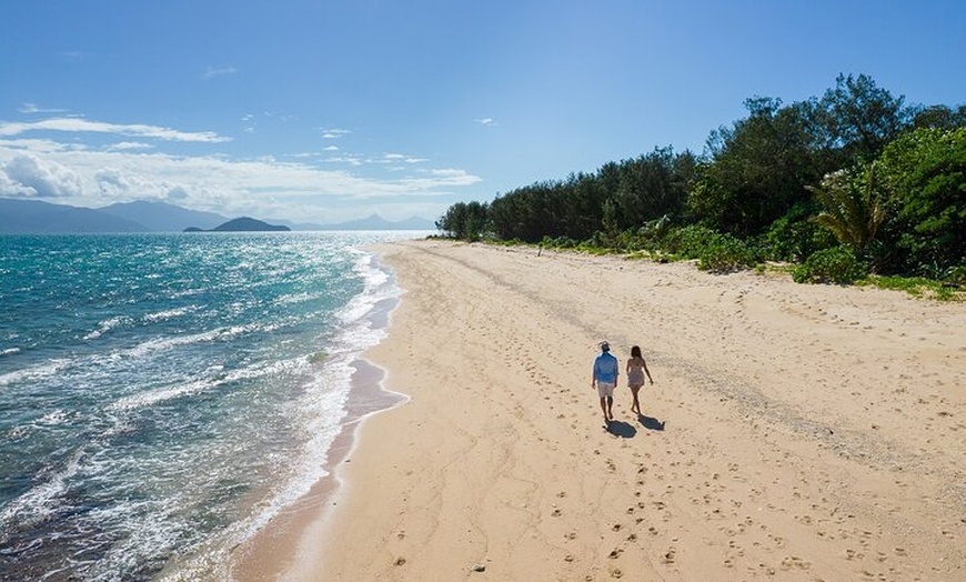 Image 9: Full-Day Cruise Tour to Frankland Islands Great Barrier Reef