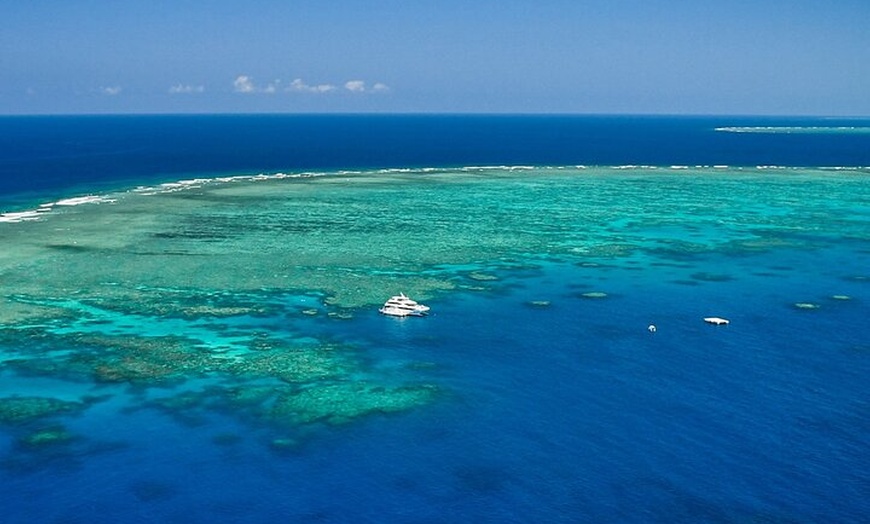 Image 6: Full Day Reef Cruise and 10 Minute Helicopter Scenic Flight