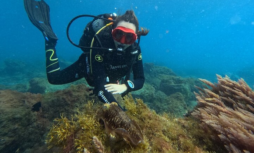Image 2: Curso de buceo Open Water en Tenerife