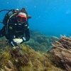 Image 2: Curso de buceo Open Water en Tenerife