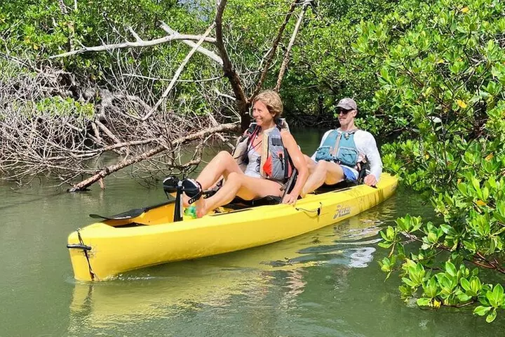 Kayak Tour Adventure Marco Island and Naples Florida