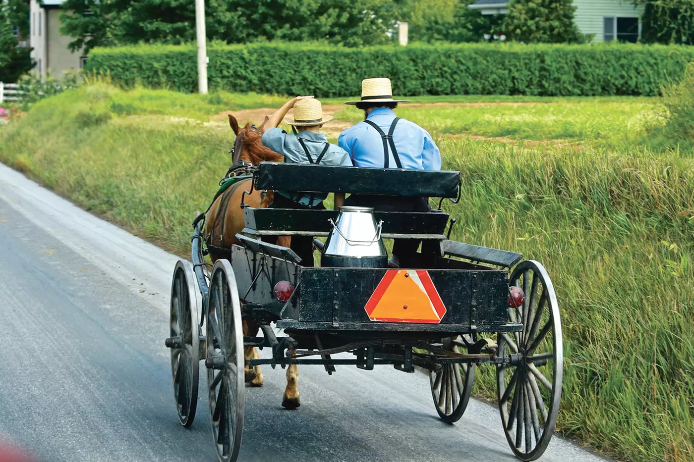 $18 For An Amish Paradise Trail Ride For 2 Adults & 2 Children (Reg. $36) - Primary Image
