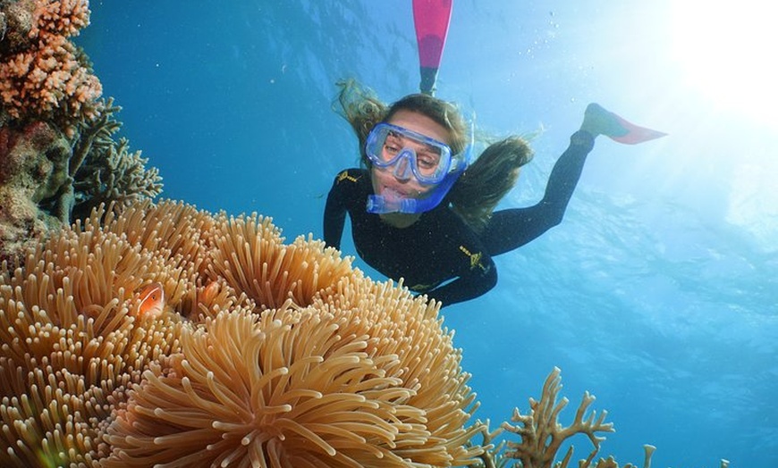 Image 4: Quicksilver Great Barrier Reef Snorkel Cruise from Port Douglas