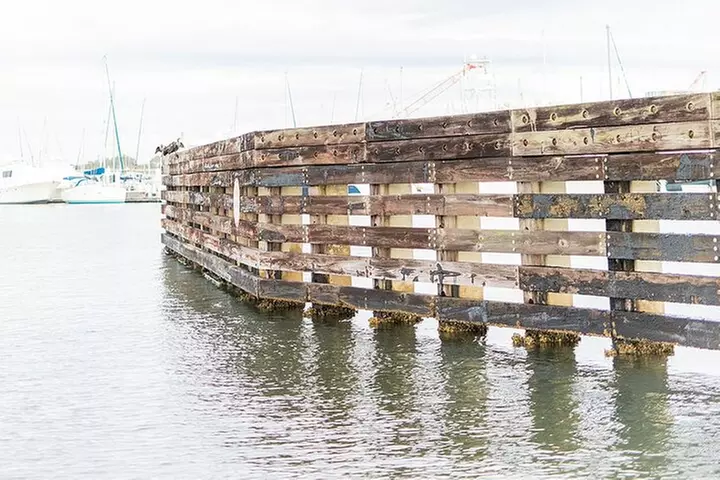 Private Luxury Yacht Charters, BYOB & Dolphins