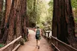 Muir Woods with Napa & Sonoma Wine Tour + Alcatraz Tour & Aquarium Access - Second Medium