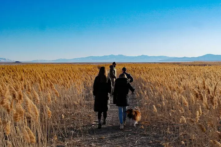 Great Salt Lake Wildlife Experience
