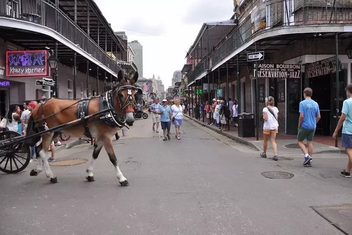 New Orleans French Quarter and More Carriage Ride