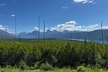 Nature Walk in Glacier National Park - Second Medium