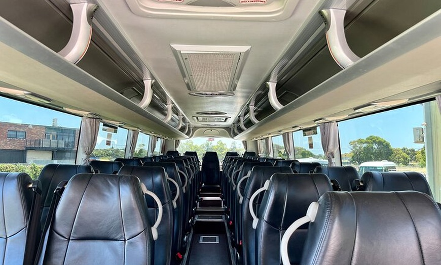 Image 17: Phillip Island Penguin Parade Day Trip with Koala Conservation Rese...