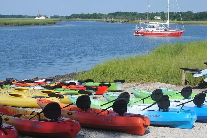2-Hour Guided Kayak Eco Tour in Charleston