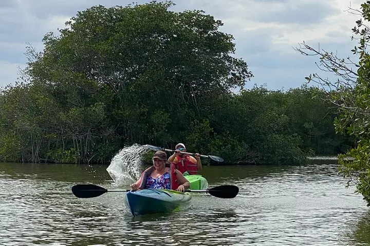 Manatee and Dolphin Kayak Tour
