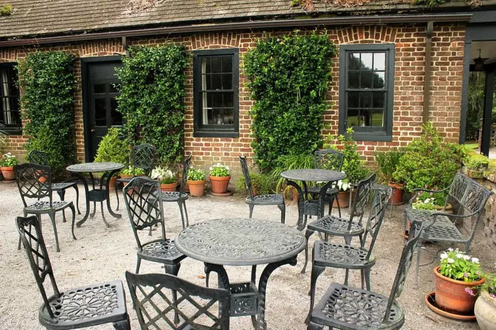 Middleton Place Admission with Self Guided Tour and Lunch