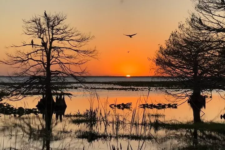 1-Hour Sunset Airboat Ride near Orlando