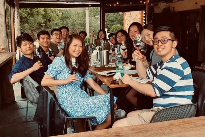 McLaren Vale and Glenelg Wine Tasting and Sightseeing (Half-day Aft...