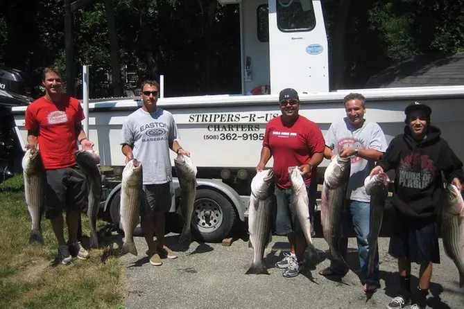 Striper fishing charters light tackle Cape Cod - Primary Image