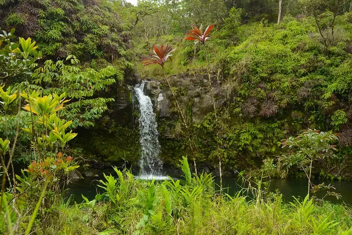 Small-Group Road to Hana Luxury Tour