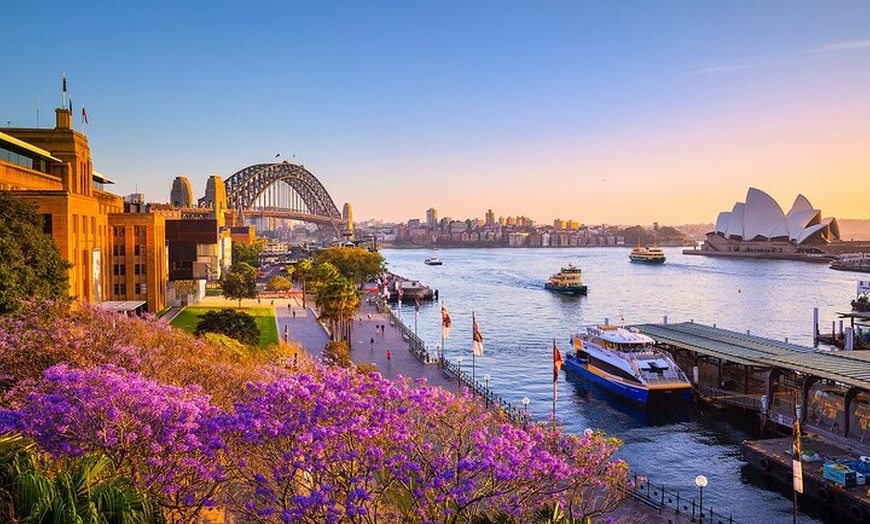 Image 4: Melbourne to Sydney Express Bus Transfers