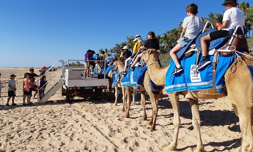 Image 10: 1 Hour Broome Sunset Camel Tour