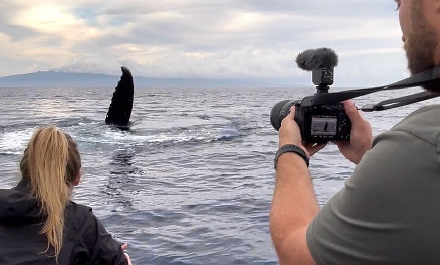 Image 13: Maui Eco-Raft Tour: Hawaiian Cultural Whale Tour (*New)