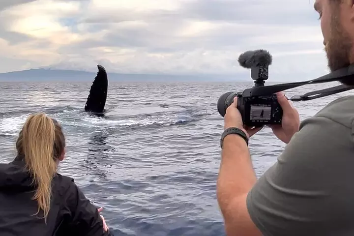 Eco-Raft Tour: Intro to Hawaiian History & Whale or Dolphin Watch
