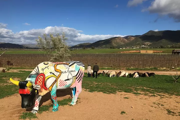 Luxury Private Wine Tasting Tour to Guadalupe Valley from San Diego
