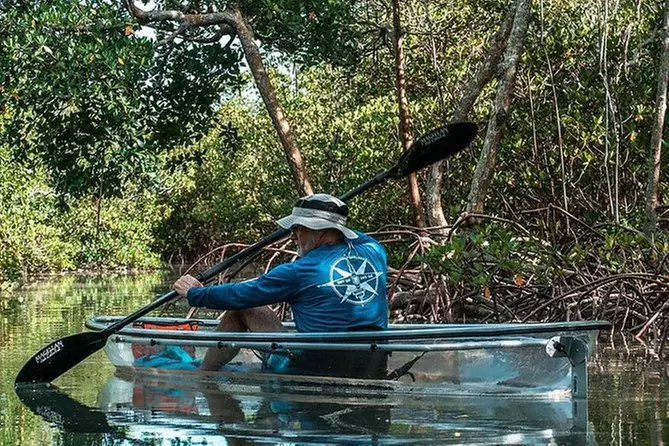 Clear Kayak Tours in Fort Pierce - Primary Image