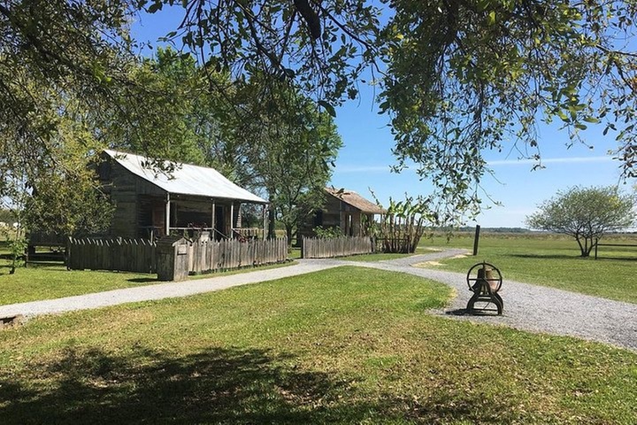 Oak Alley or Laura Plantation Tour from New Orleans