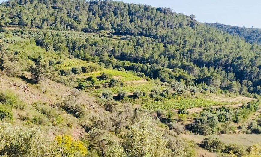 Image 43: Visita Teatro Castillo de Sagunto Vino Romano de Valencia
